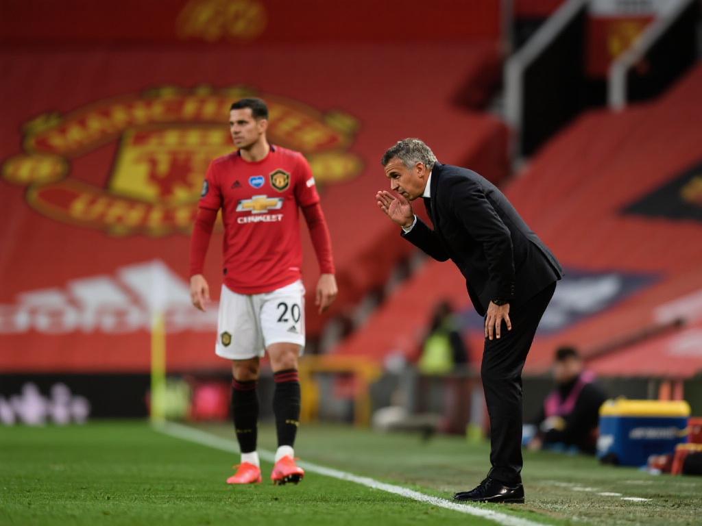 力和冲击力 力和冲击力